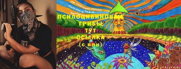 тгк Вязники